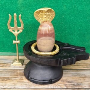 Bakawan Narmada Shivling