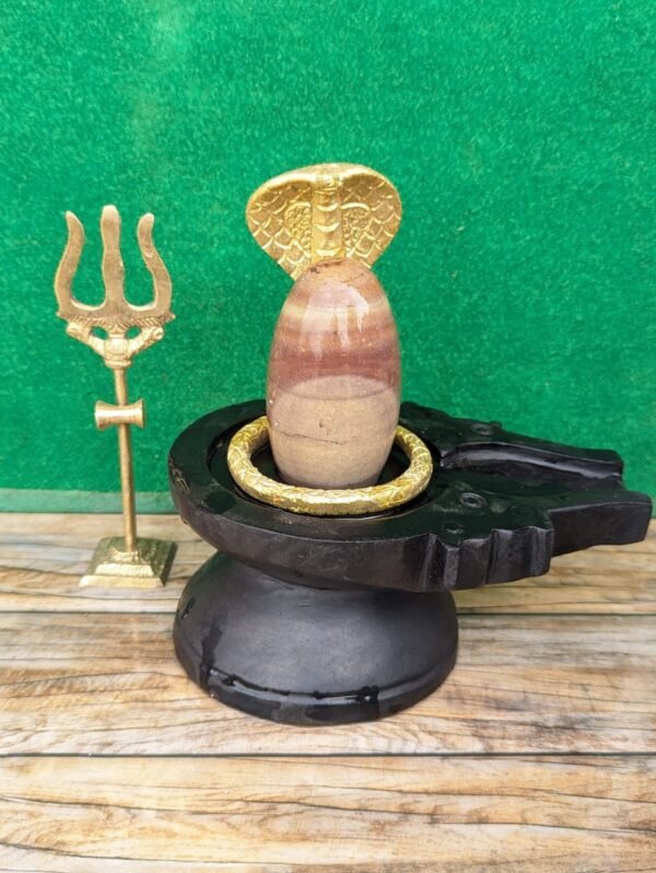 Bakawan Narmada Shivling