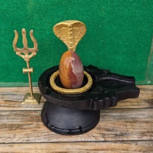 Narmadeshwar shivling
