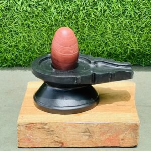 narmada shivling