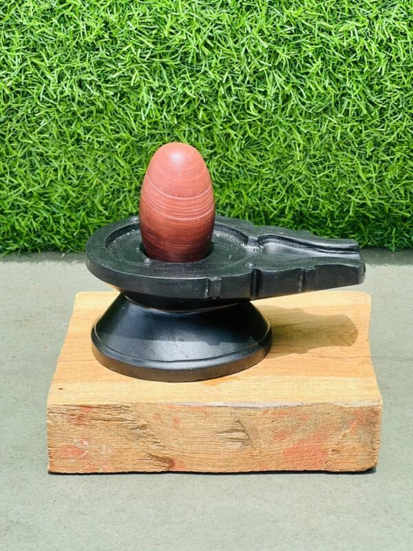narmada shivling