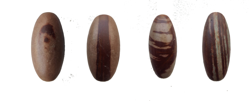 narmdeshwar shivling