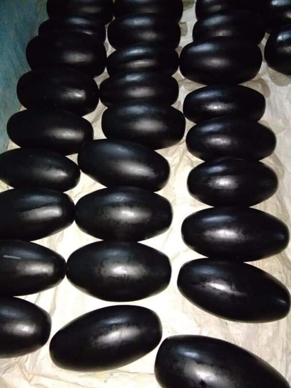 black narmada shivling