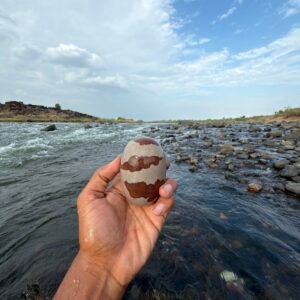 small size narmada shivling