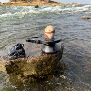 2 inch narmadeshwar shivling