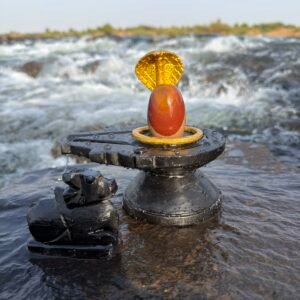 narmada shivling