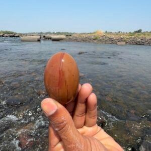 Natural Narmadeshwar Shivling