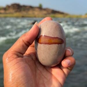 Original Tilak narmada shivling